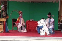 樊梨花为什么要杀义子