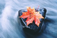 立秋的含义是什么