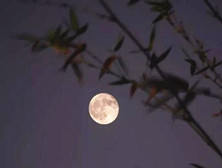 《鄂州南楼书事》