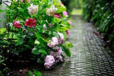 关于雪莱的励志名言三十句