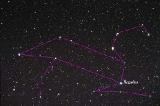 张月鹿是什么星宿