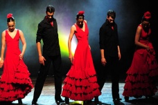 西班牙弗拉门戈舞介绍