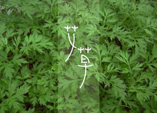 艾草文化