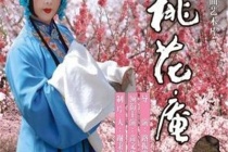 豫剧经典剧目《桃花庵》剧情特色