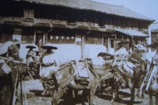 茶马古道的起源与发展