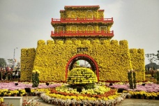 小榄菊花会在哪里