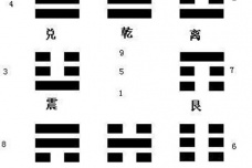 八卦的不同类型