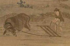 商鞅燔诗书以明法令