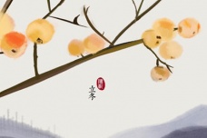 柳永的十大代表作分别是什么