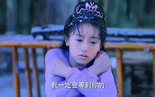 璇玑为挽回司凤在雪地里冻伤