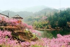 桃花源记中的武陵是哪里