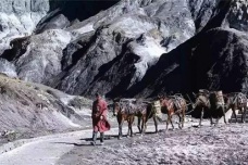 川藏茶马古道的历史变迁