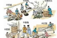 造纸术的传播途径