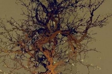 《破阵子·燕子欲归时节》诗词鉴赏