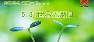 1989年5月31日：世界无烟日