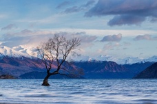 瓦纳卡湖在哪个国家