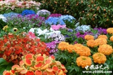 历史名城广东佛山