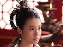 杨坚的嫔妾宣华夫人介绍