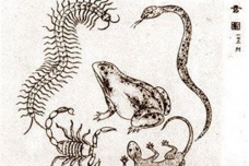 端午节的民间传说