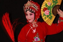 豫剧《梵王宫》简介