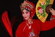 豫剧《梵王宫》简介