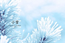 小雪节气养生要吃什么
