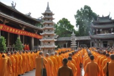 丛林清规是什么意思