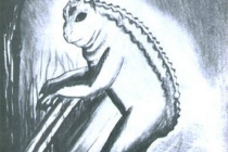 爱兰青蛙人是否是真实存在的