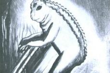 爱兰青蛙人是否是真实存在的