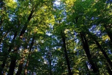 喀尔巴阡山脉介绍