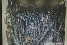 三星堆新国宝发现3000年前丝绸遗痕