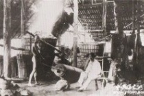 洋务运动的派别