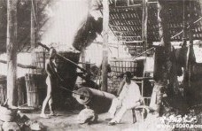 洋务运动的派别