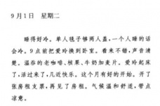 赖雅日记：张爱玲的忘年跨国恋