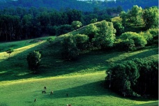 木兰围场在哪里
