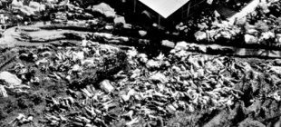 1978年11月18日：琼斯镇惨案