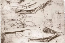 达芬奇学习解剖学的经过