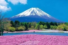 赞美富士山的诗