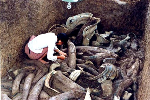 古蜀国真的被秦国灭了吗