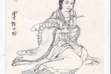 轸水蚓星宿简介