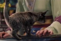 《大宋宫词》皇上思念儿子