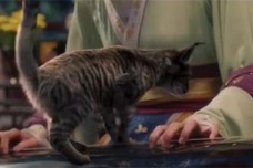 《大宋宫词》皇上思念儿子