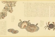 水产动物志：《闽中海错疏》