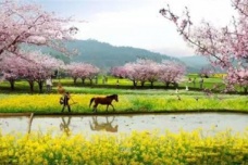 桃花源记中的武陵是哪里