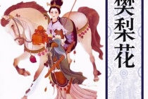 关于樊梨花玉女转世的传说