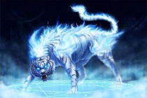 西方七宿分别是什么