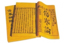 《伤寒杂病论》的历史影响