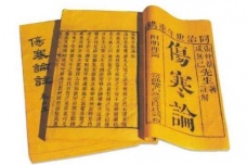 《伤寒杂病论》的历史影响