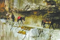 南方丝绸之路的文化特色是什么