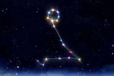 壁水貐星宿介绍